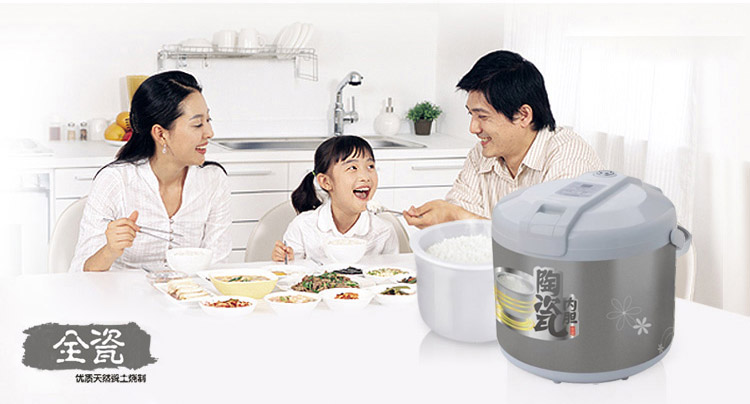 hannex rice cooker review