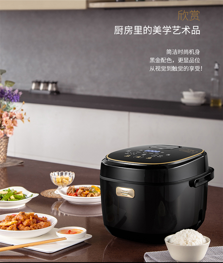 joydeem rice cooker